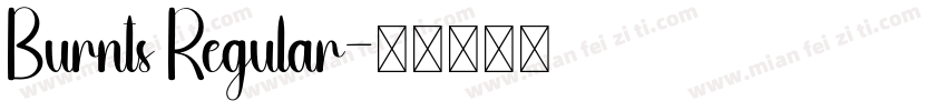 Burnts Regular字体转换